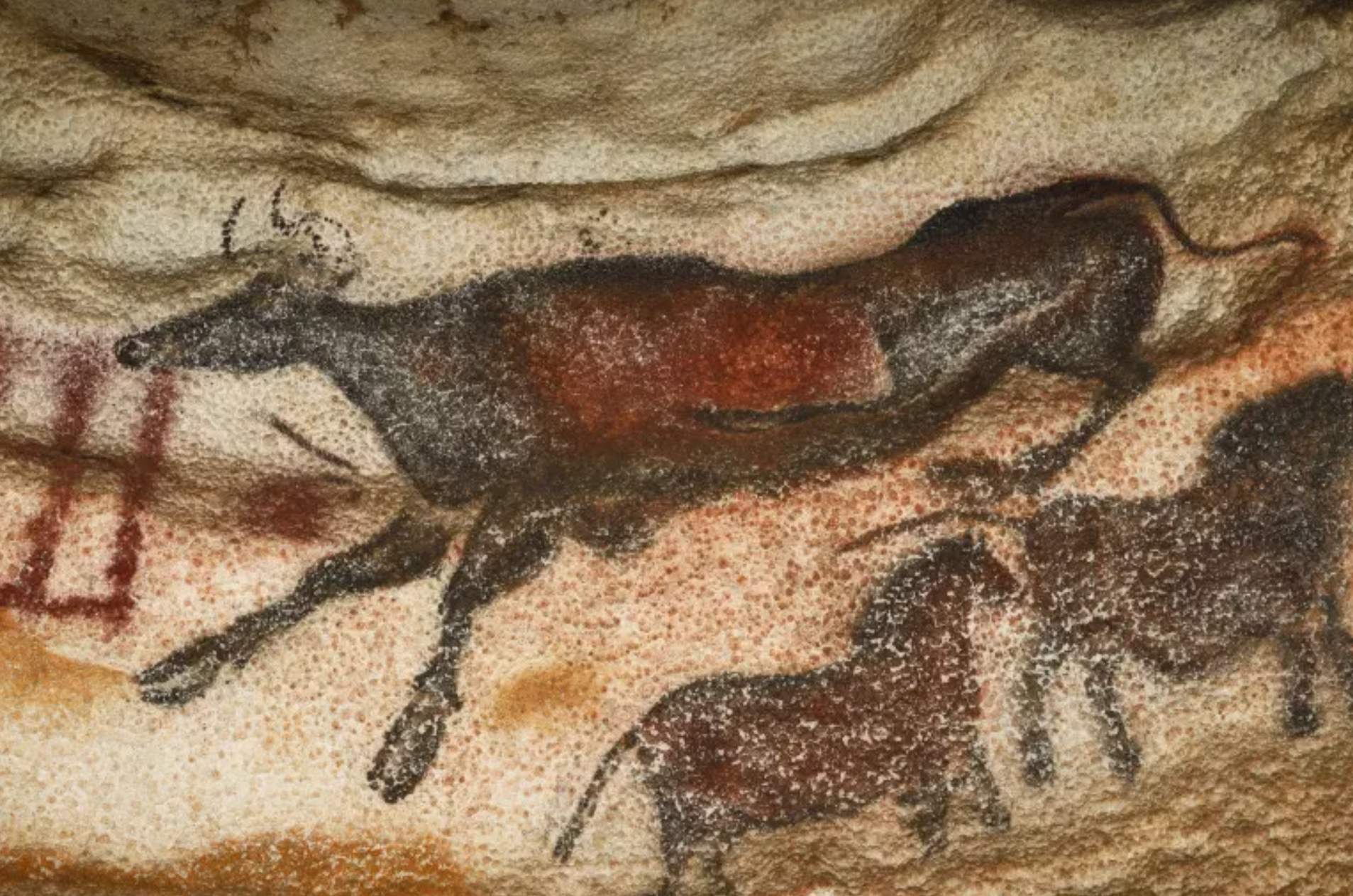 Peintures grotte Lascaux