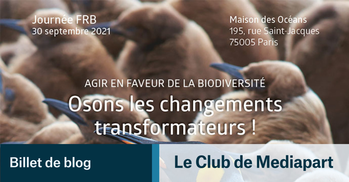 Affiche osons les changements transformateurs