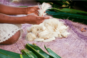 Usages de la biodiversité végétale par les populations du Vanuatu sur l'île d’Ambae (2011). Stéphanie Carrière / IRD , Fourni par l'auteur